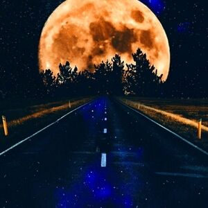 Personal shopper for hire